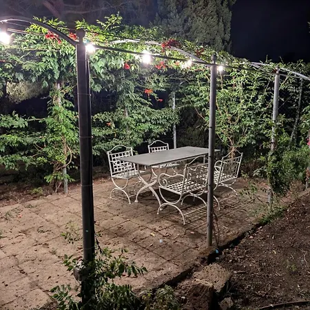 L'oliveta * Peccioli